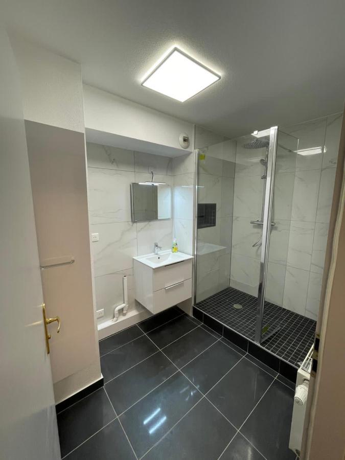 Sion City Mulhouse Centre - Parking Et Balcon-Wifi 5G Gratuit מראה חיצוני תמונה